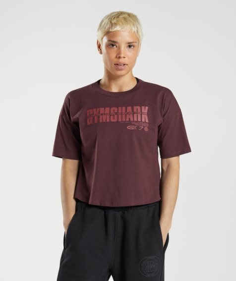 Przycięte Topy Gymshark GS10 Year Midi Damskie Bordowe | PL 064VDE